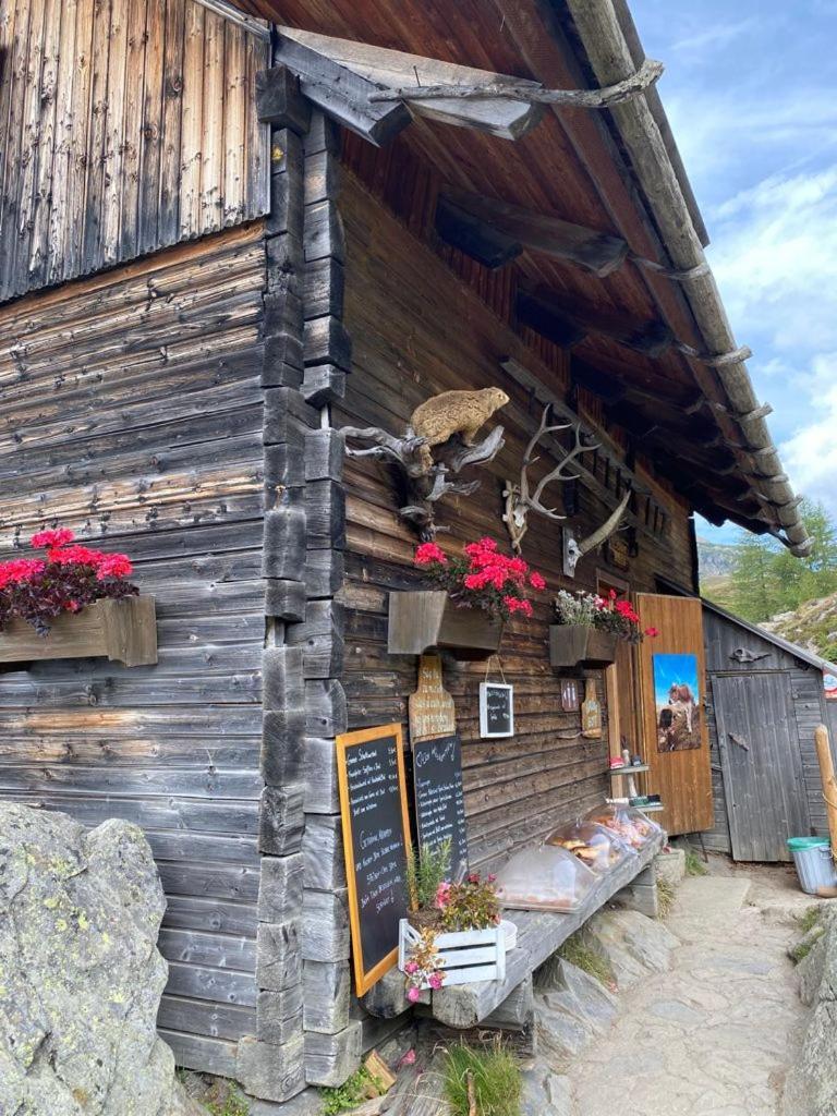 Nocky Mountains Lodge And Apartment Radenthein Eksteriør bilde