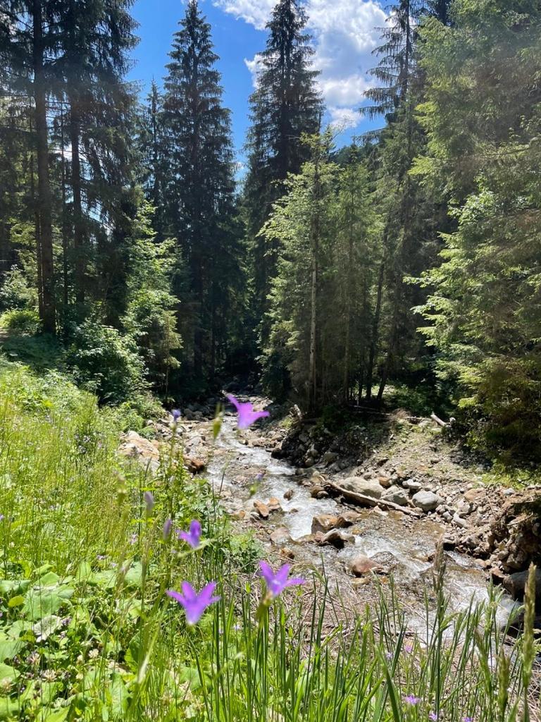 Nocky Mountains Lodge And Apartment Radenthein Eksteriør bilde